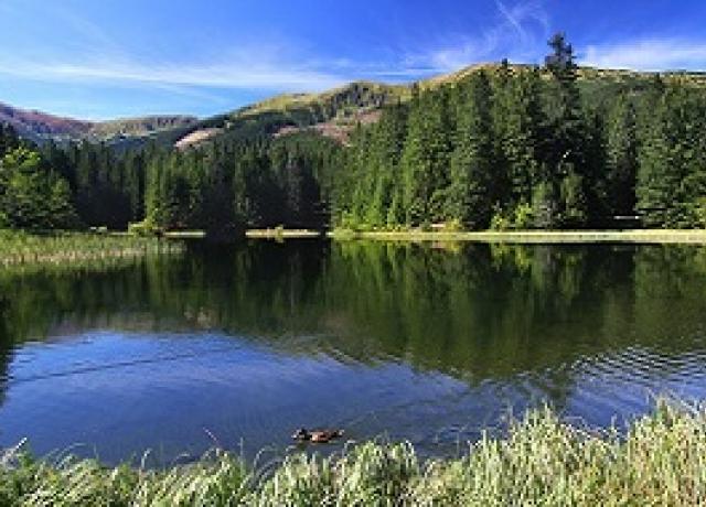 Nízke Tatry - Vrbické pleso, Rozhľadňa Žiarce - Pavčina Lehota